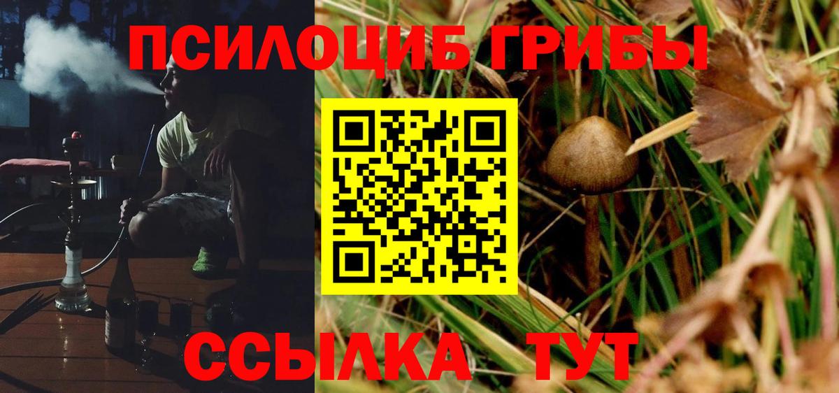 Псилоцибиновые грибы прущие грибы Баксан