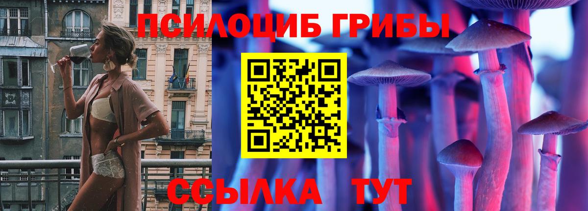Псилоцибиновые грибы мухоморы  Вход с VPN  Баксан 
